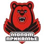 ХК Молот-Прикамье