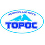 ХК Торос